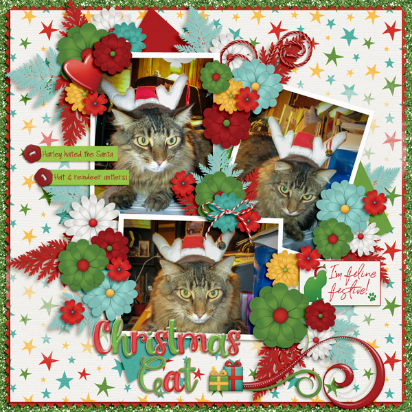 Christmas Cat