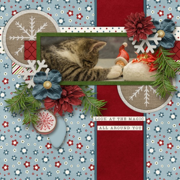 Christmas Cat