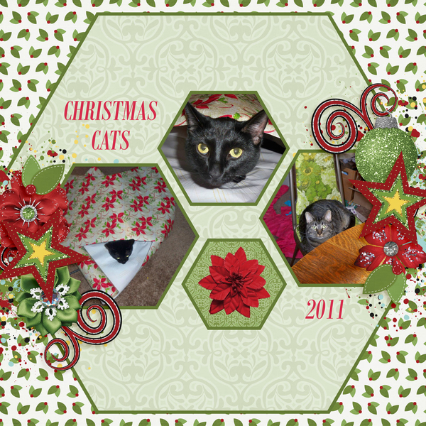 Christmas cats