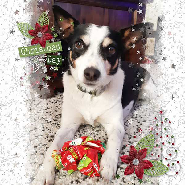 Christmas Dog