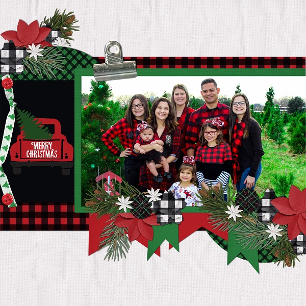 Christmas Family Photo