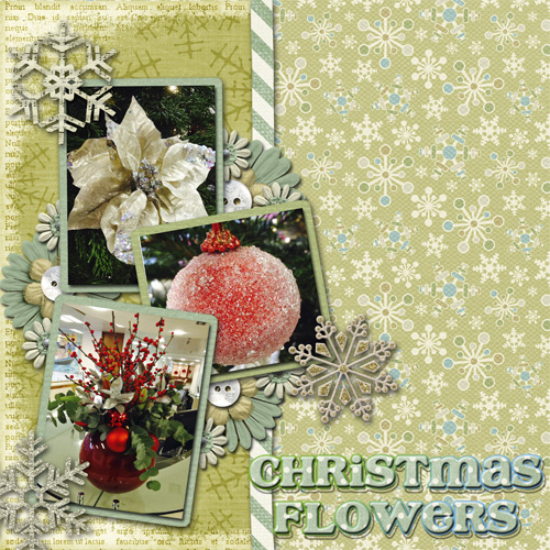 Christmas flowers