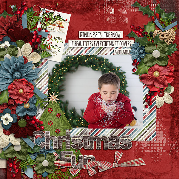 Christmas Fun