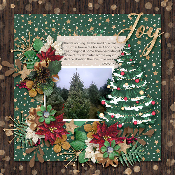 Christmas Joy Starts with a Tree