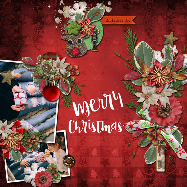 Christmas Joy