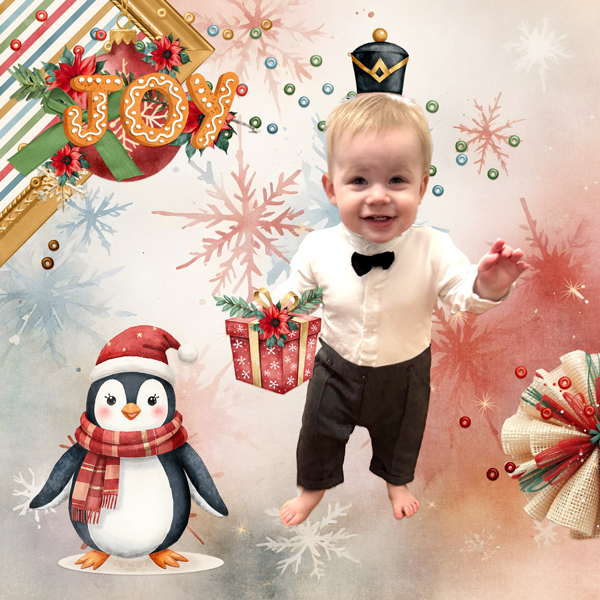 Christmas Joy