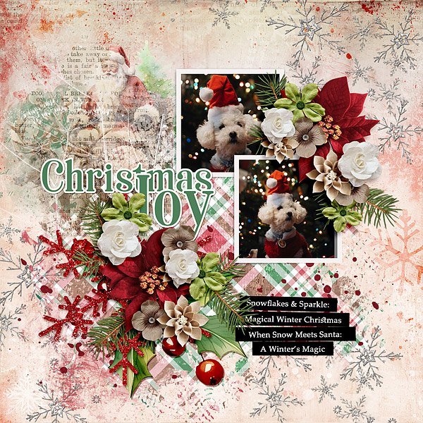 Christmas Joy