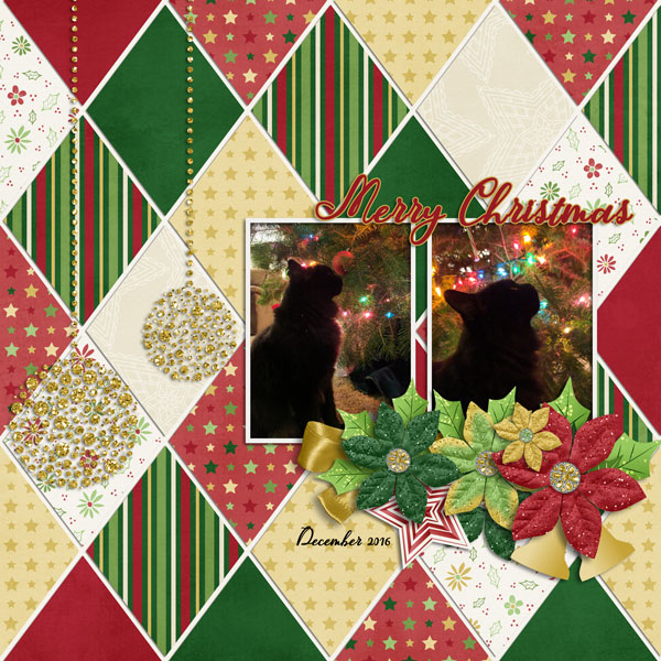 Christmas kitty