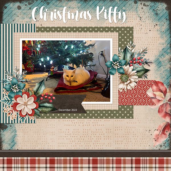 Christmas Kitty