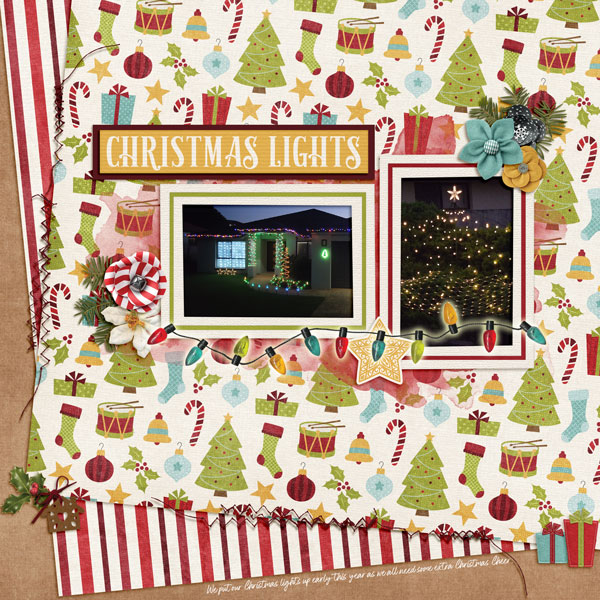 Christmas Lights 2021
