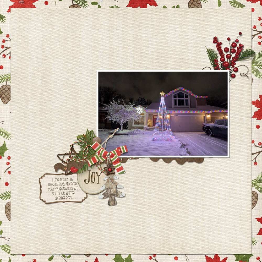 Christmas lights 2025