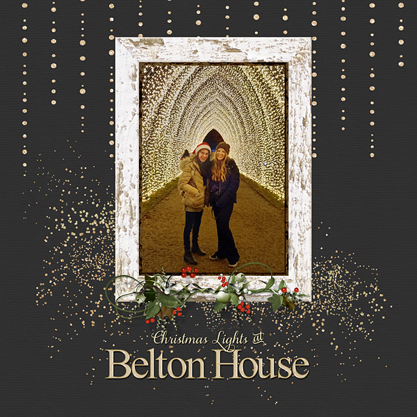 Christmas Lights at Belton House RHS