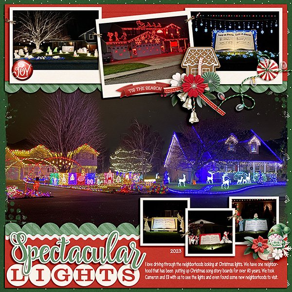 Christmas-Lights.jpg