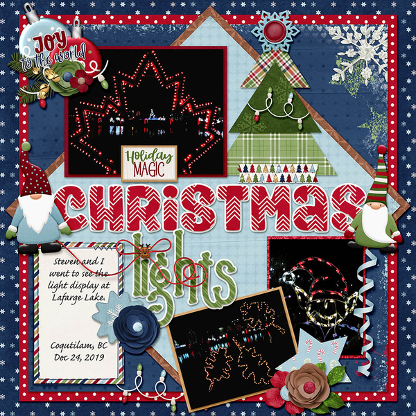 Christmas Lights Lafarge Lake 2019