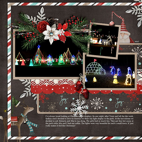 Christmas Lights