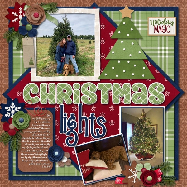 Christmas Lights