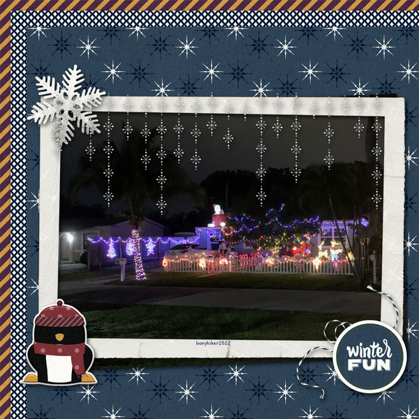 Christmas Lights
