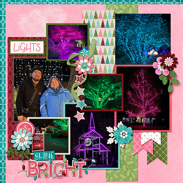 Christmas Lights_