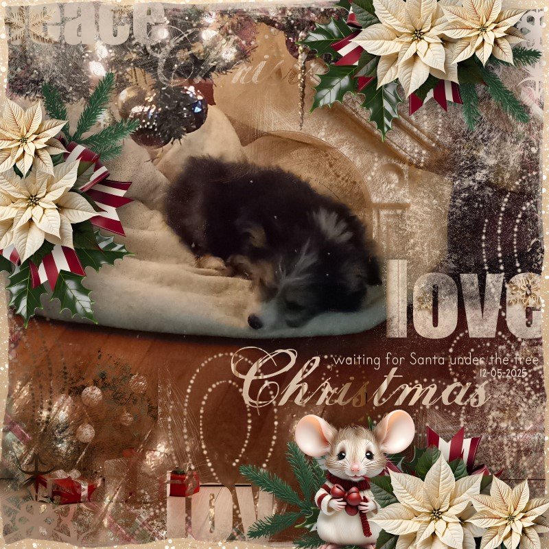Christmas Love