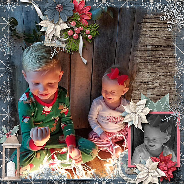 Christmas Photos