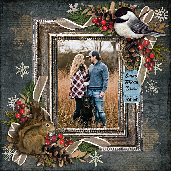 Christmas Photos