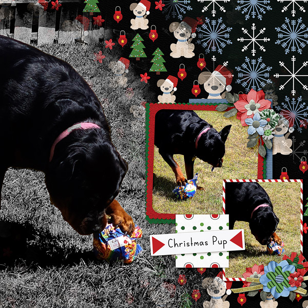 Christmas Pup