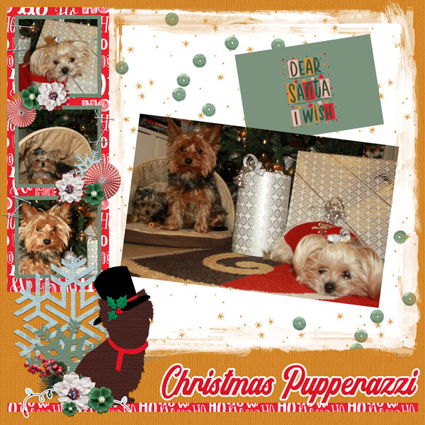 Christmas Pupperazzi