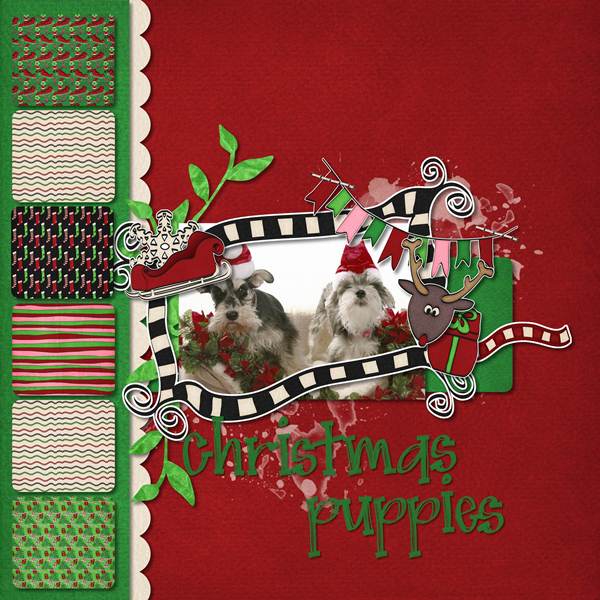 Christmas Puppies