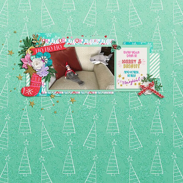Christmas Shark