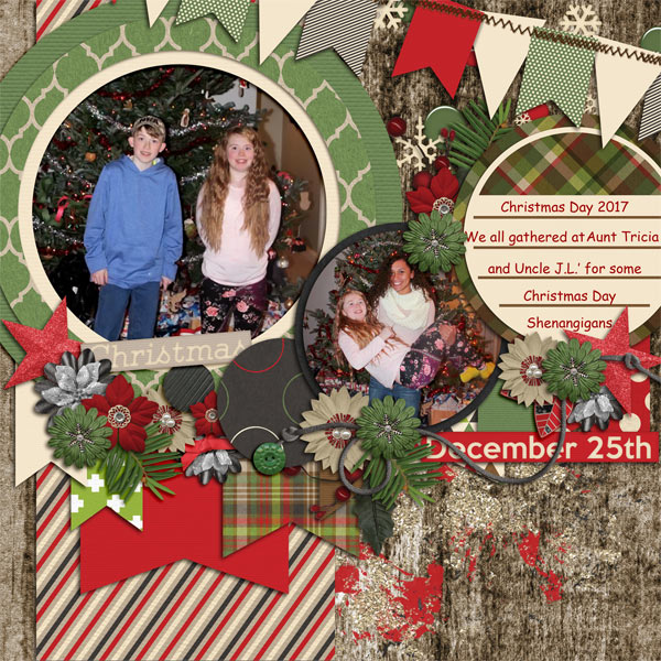 Christmas Shenanigans 2017