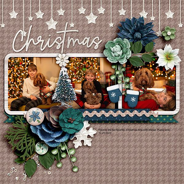 Christmas Skinner 2