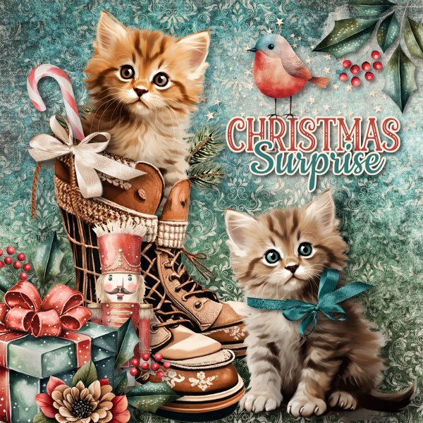 Christmas Surprise