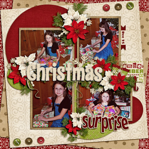 Christmas Surprise