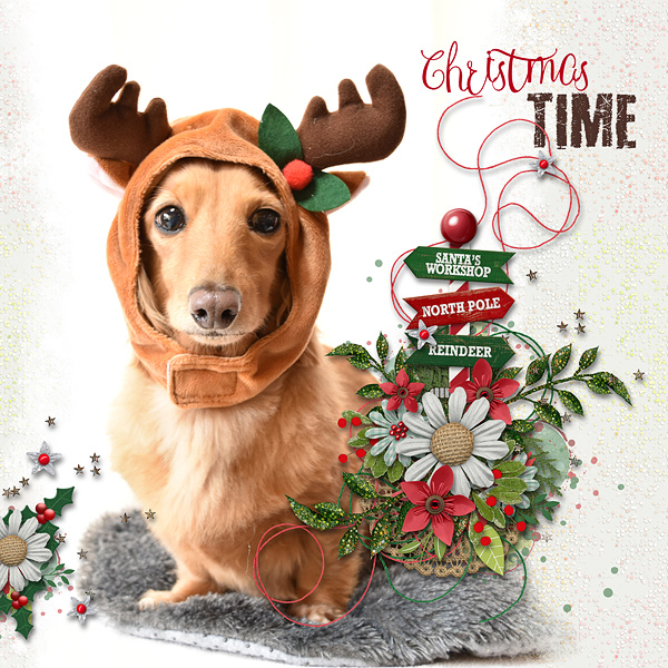 Christmas Time