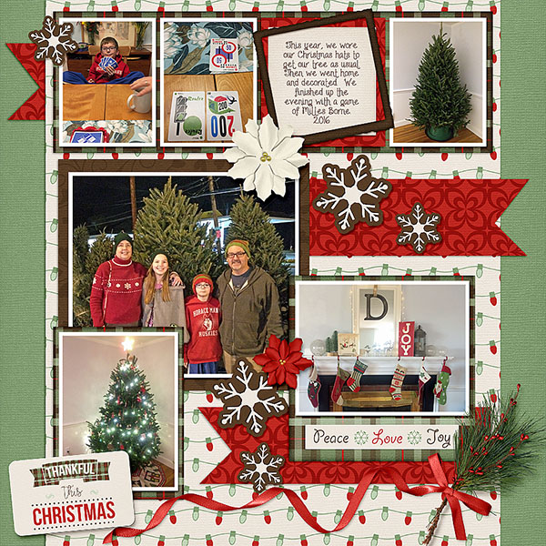 Christmas Tree 2016