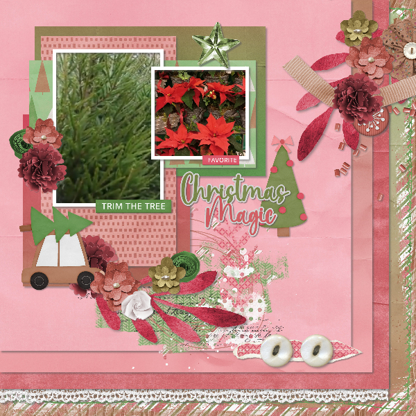 Christmas tree and poinsettias