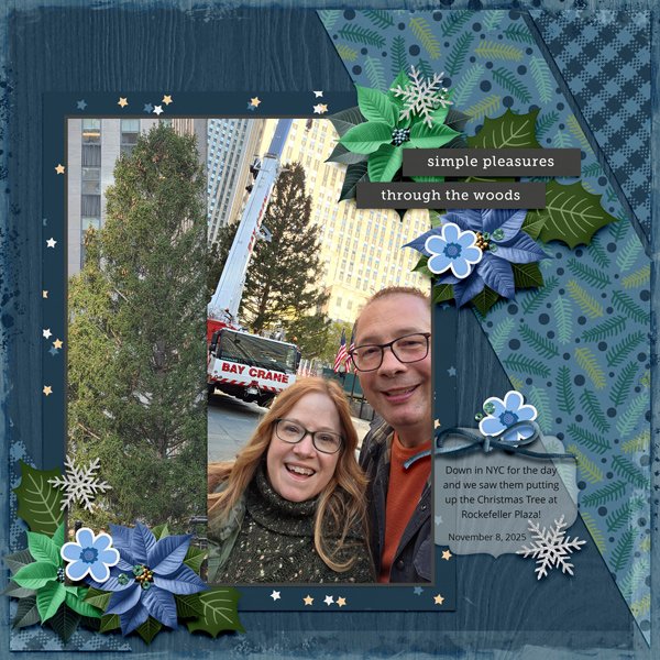 Christmas-Tree-at-Rockefeller-Nov-2025.jpg