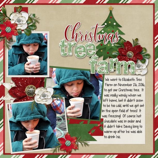 Christmas Tree Farm