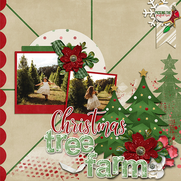 Christmas Tree Farm