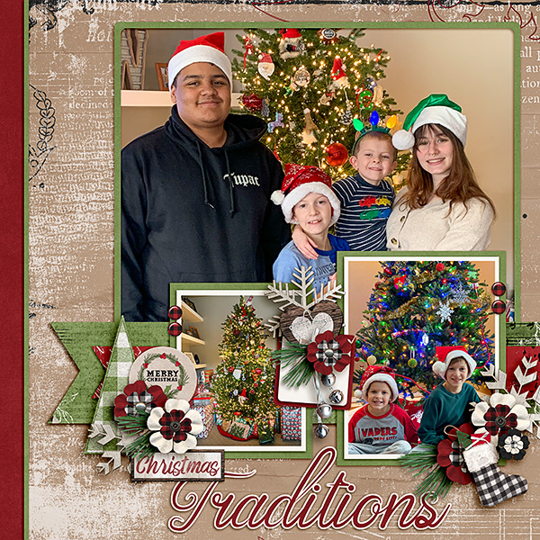 Christmas-Tree-Photos