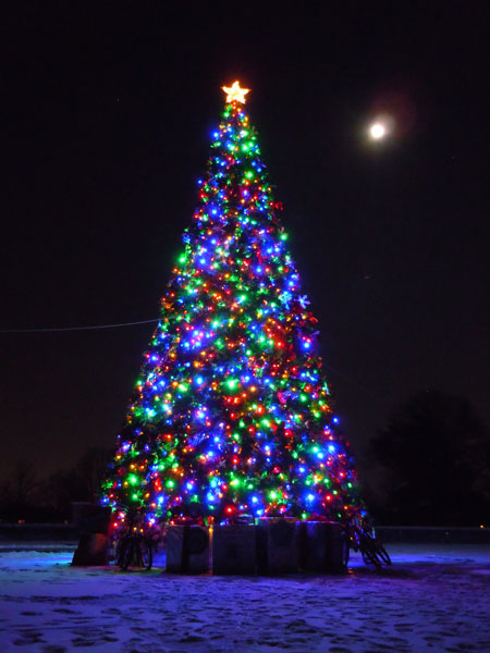 Christmas Tree