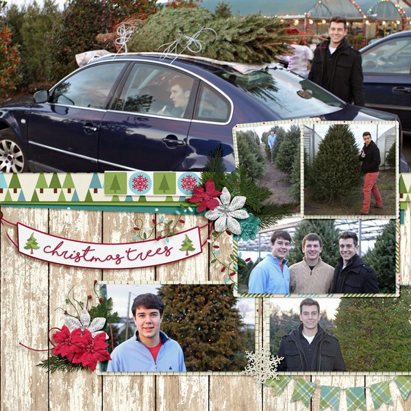 Christmas Trees