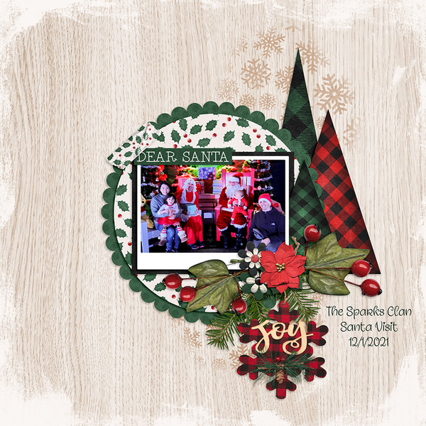 Christmas Wish