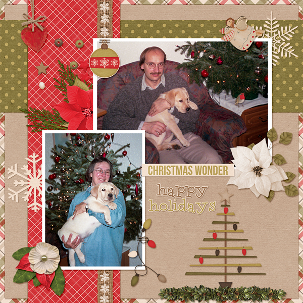 Christmas Wonder