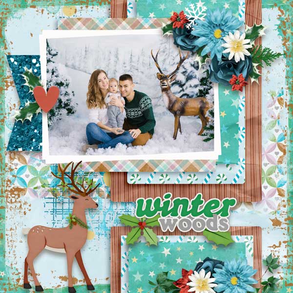 Christmas Woods