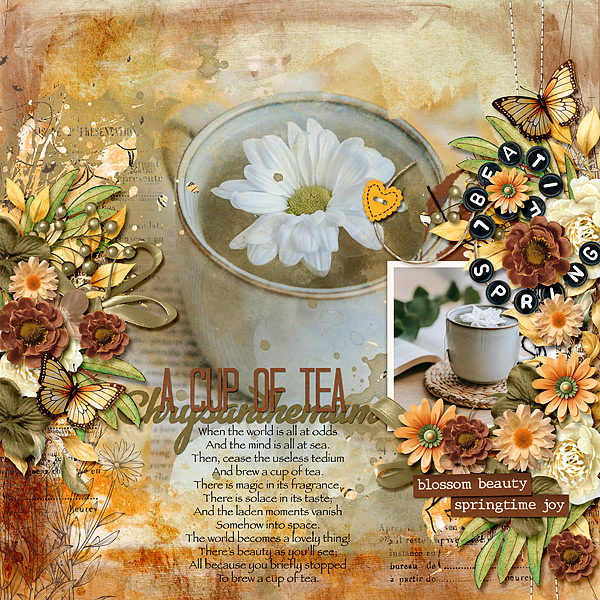 Chrysanthemum Tea
