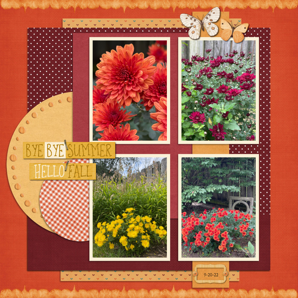 Chrysanthemums