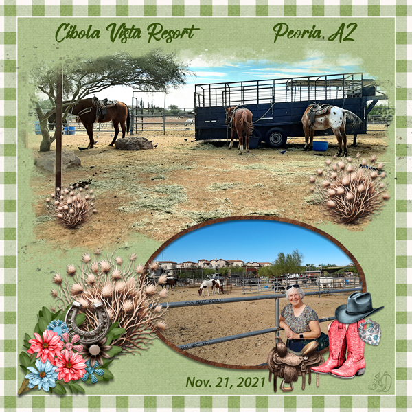 Cibola resort horses