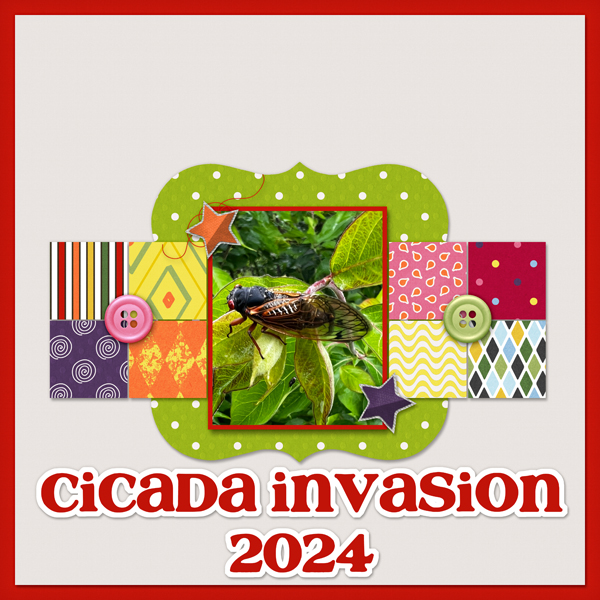 Cicada Invasion 2024