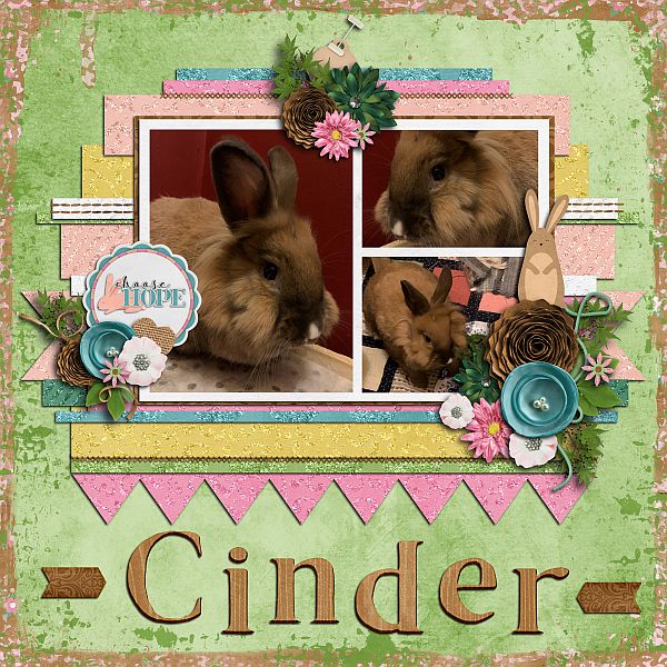Cinder